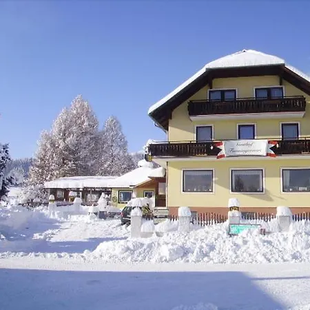 Fanningerwirt Holzer *