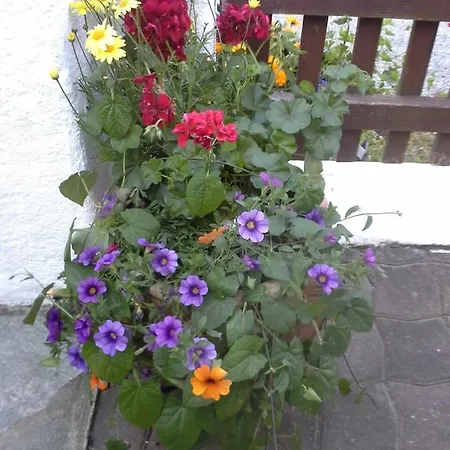 Fanningerwirt Holzer Apartment *