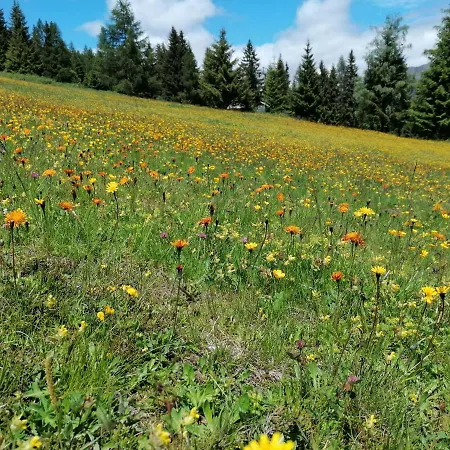 Apartment Fanningerwirt Holzer