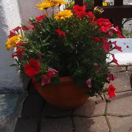 Apartment Fanningerwirt Holzer *