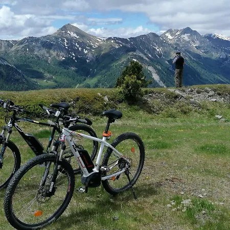 Fanningerwirt Holzer Daire