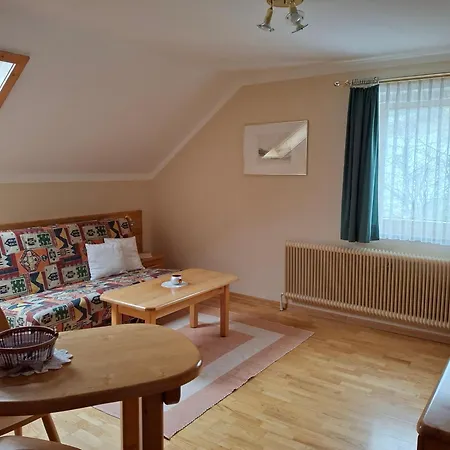 Fanningerwirt Holzer アパート *