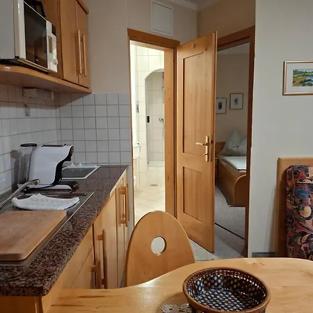 Fanningerwirt Holzer アパート