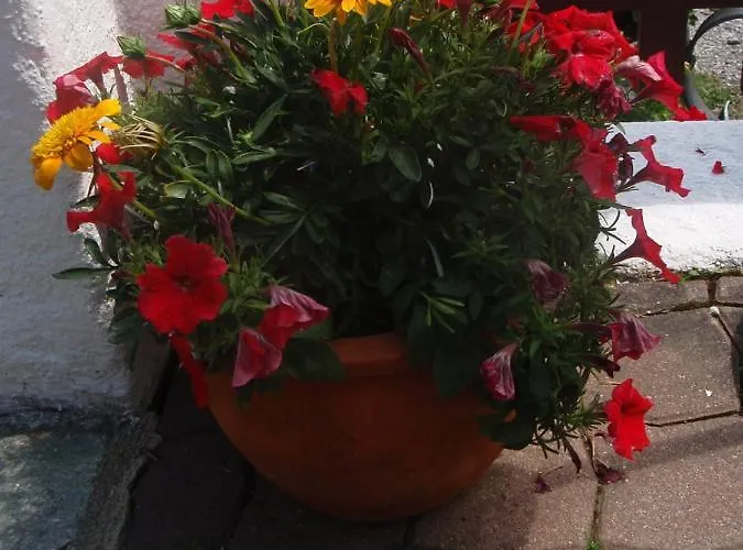 Appartamento Fanningerwirt Holzer *