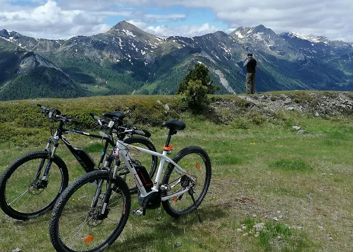 Fanningerwirt Holzer Appartamento